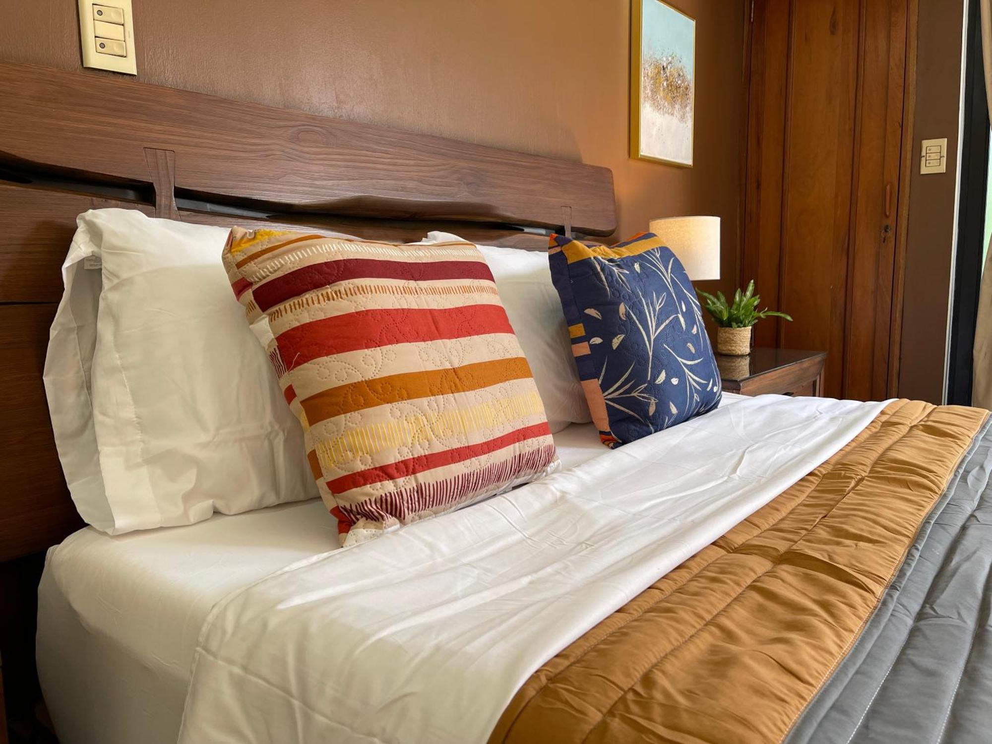 The Rainier Bed & Breakfast 5 サンホセ エクステリア 写真
